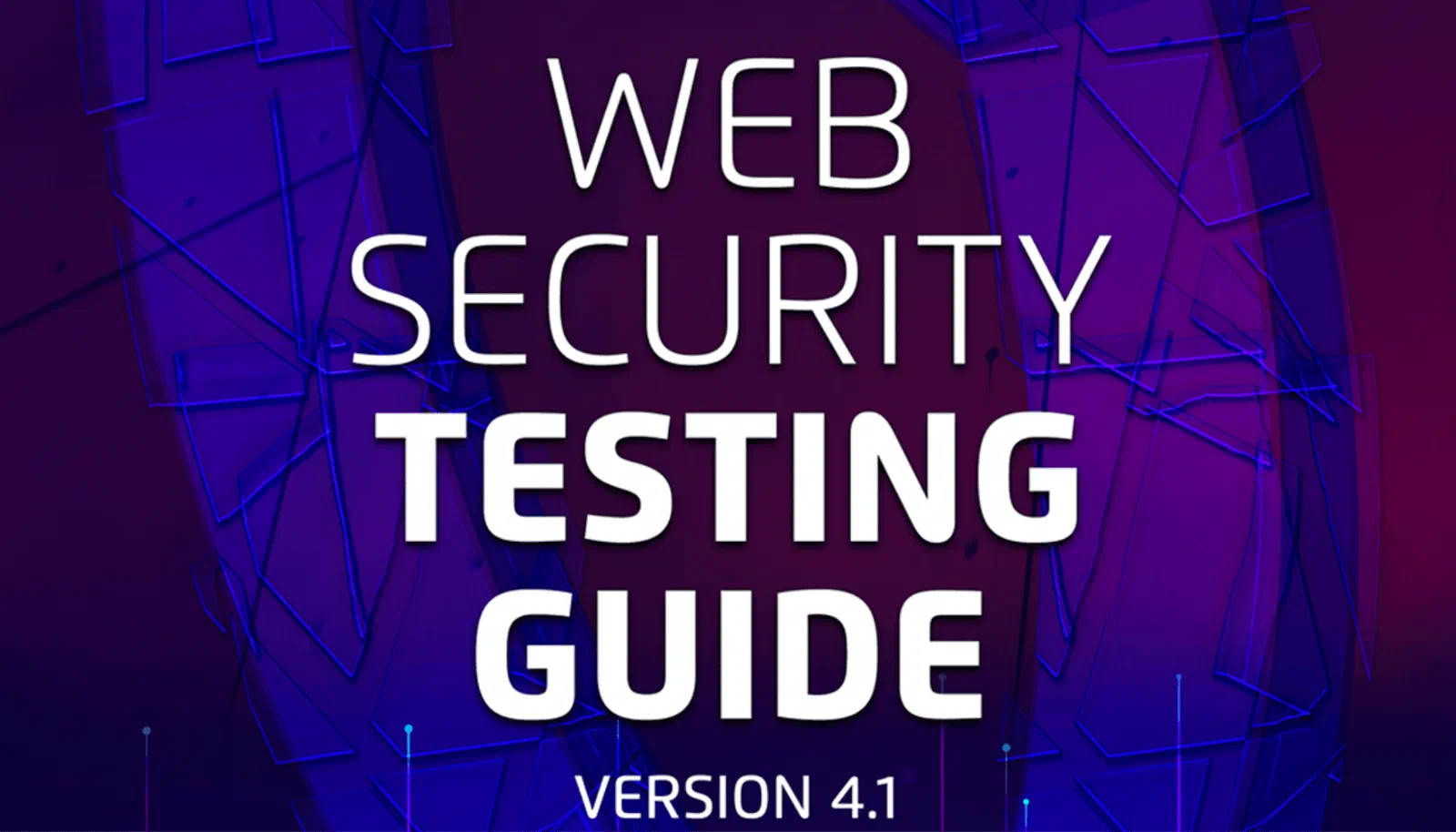 What has the OWASP given us?